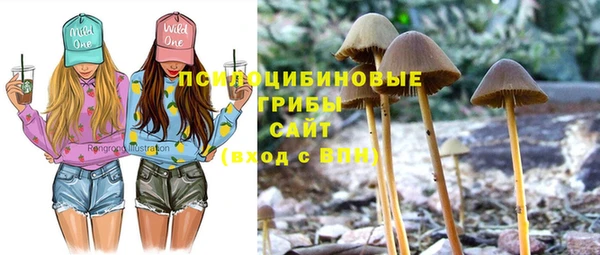 прущая мука Армянск